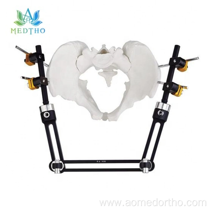 pelvic ex